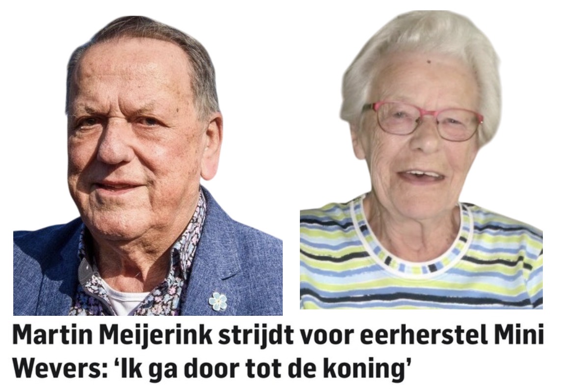 Beeld bij DE VERGETELHEID VERSLAGEN
